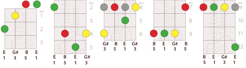 5 Ways to Play E Major on Baritone Ukulele