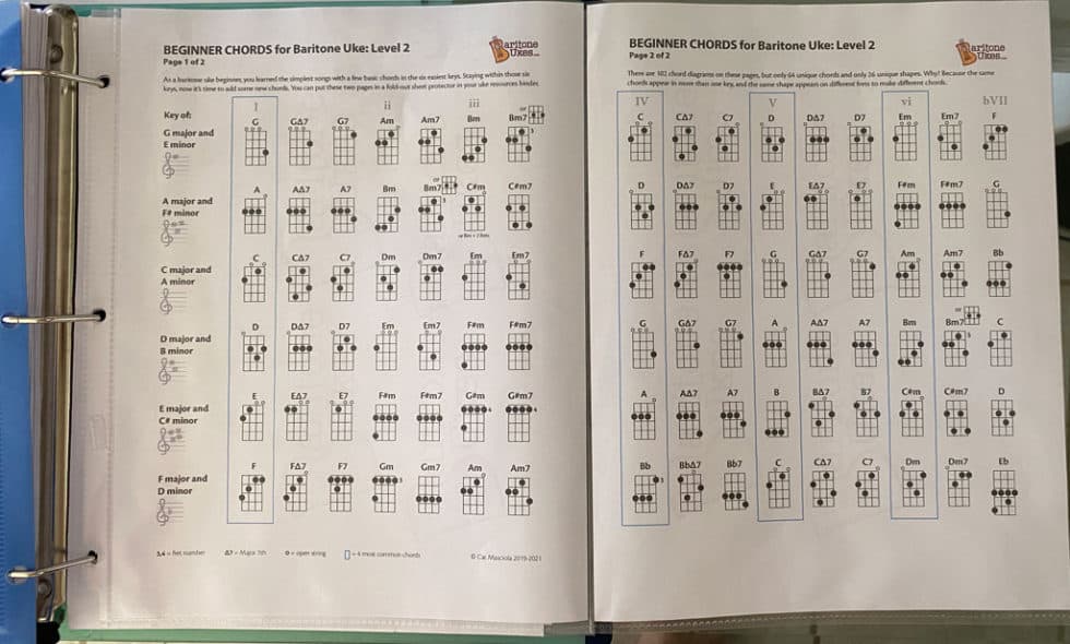 Beginner Chords for Baritone Ukulele Level 2 Baritone Ukes